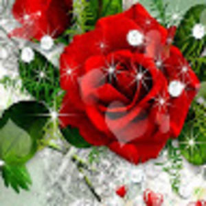 Meet your Posher, Mz.